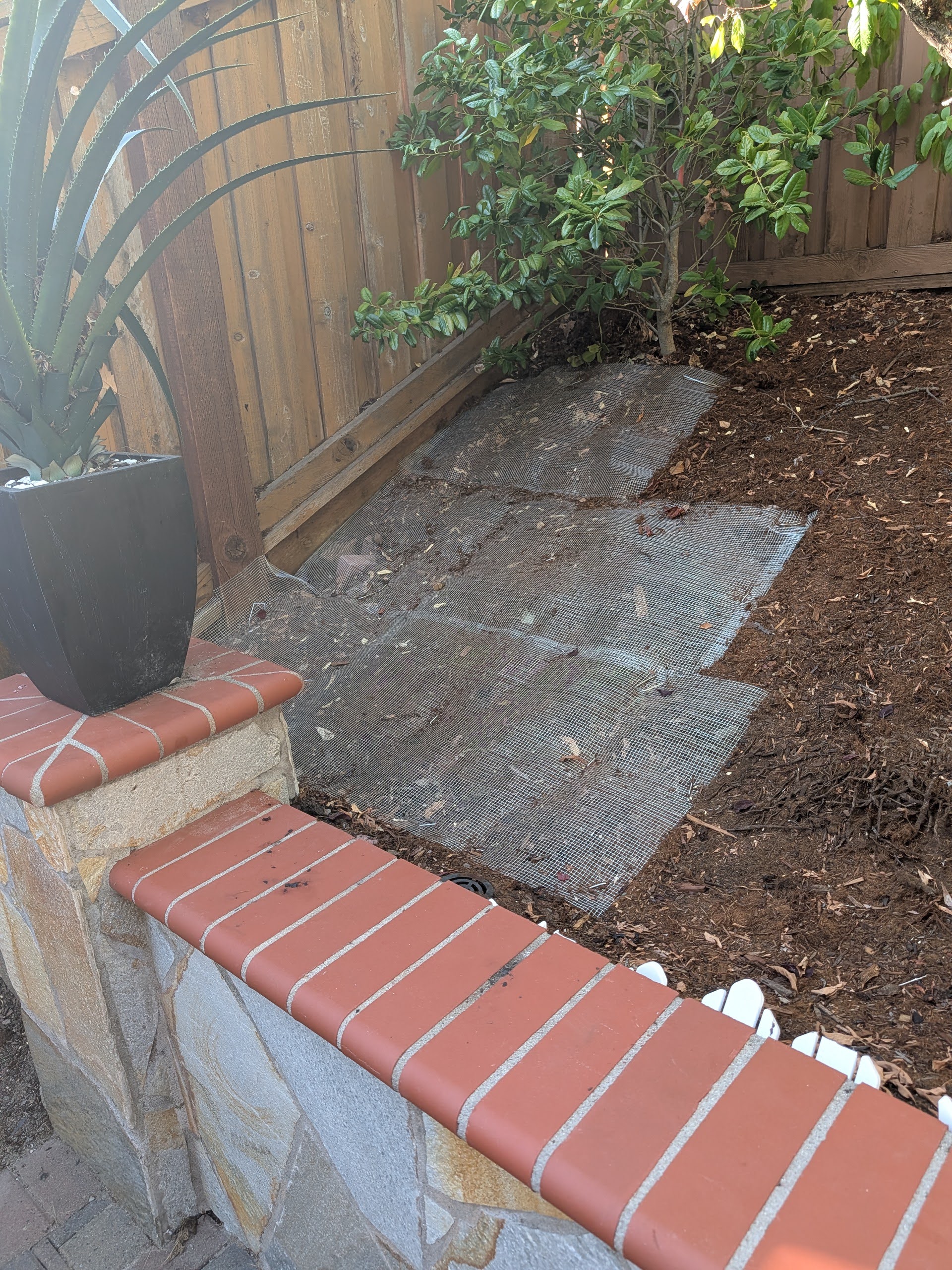 Hardware cloth installed to prevent squirrel tunneling