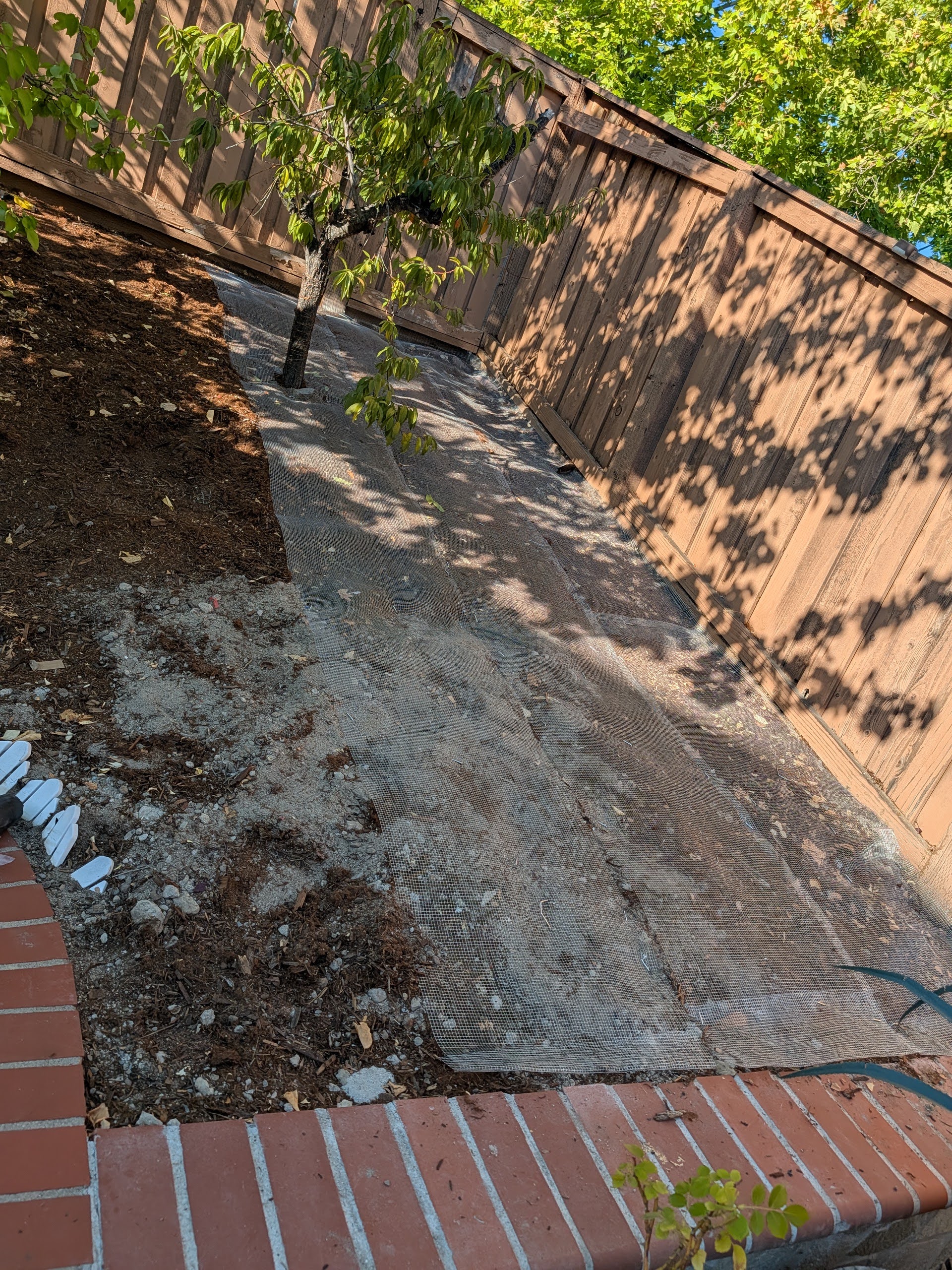 Hardware cloth installed on yard surface to keep squirrels out